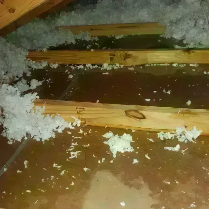 Attic Water Damage in Ives Estates, FL